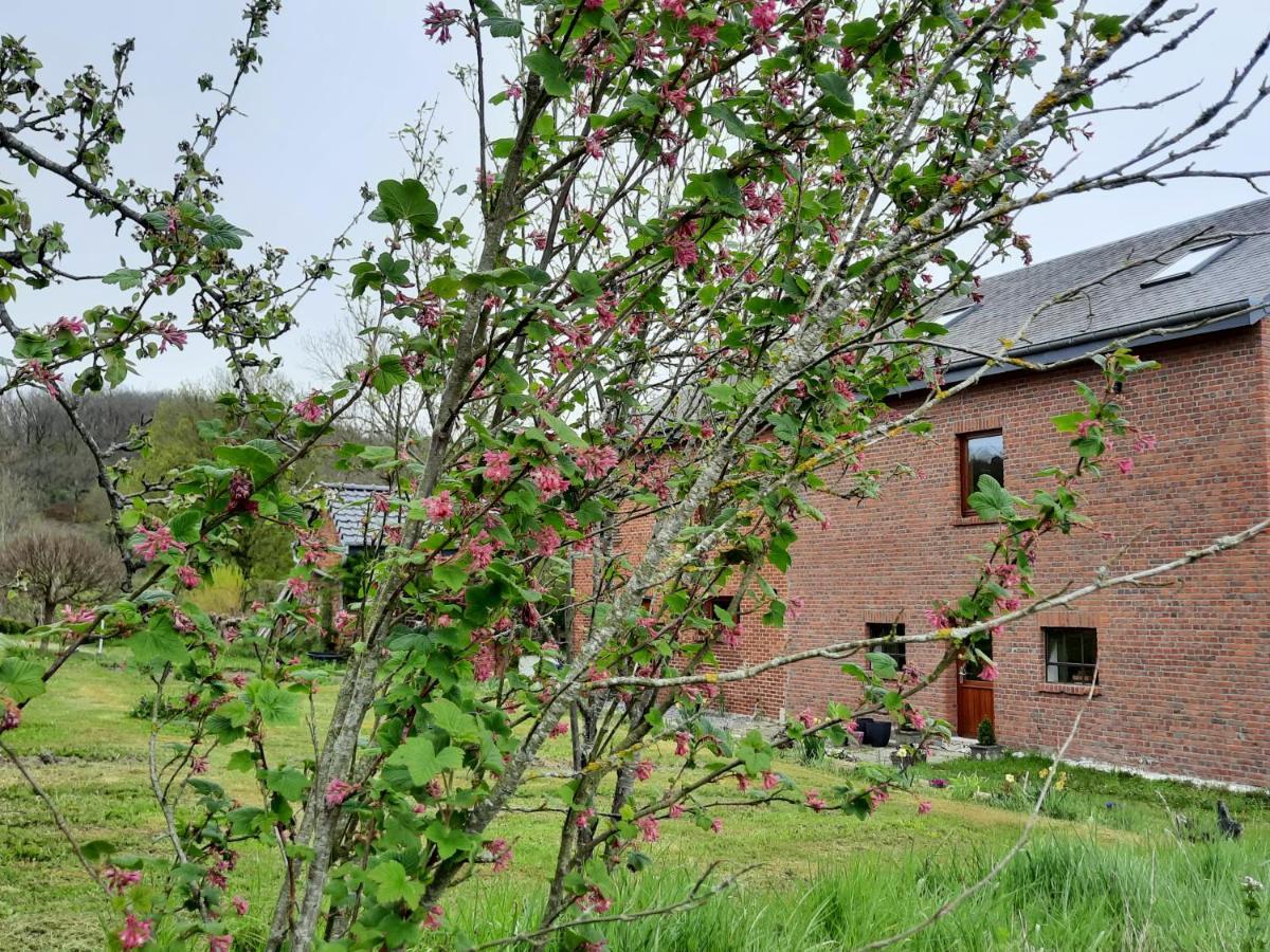 Aux Saveurs D'Enneille Bed and Breakfast Durbuy Exteriör bild